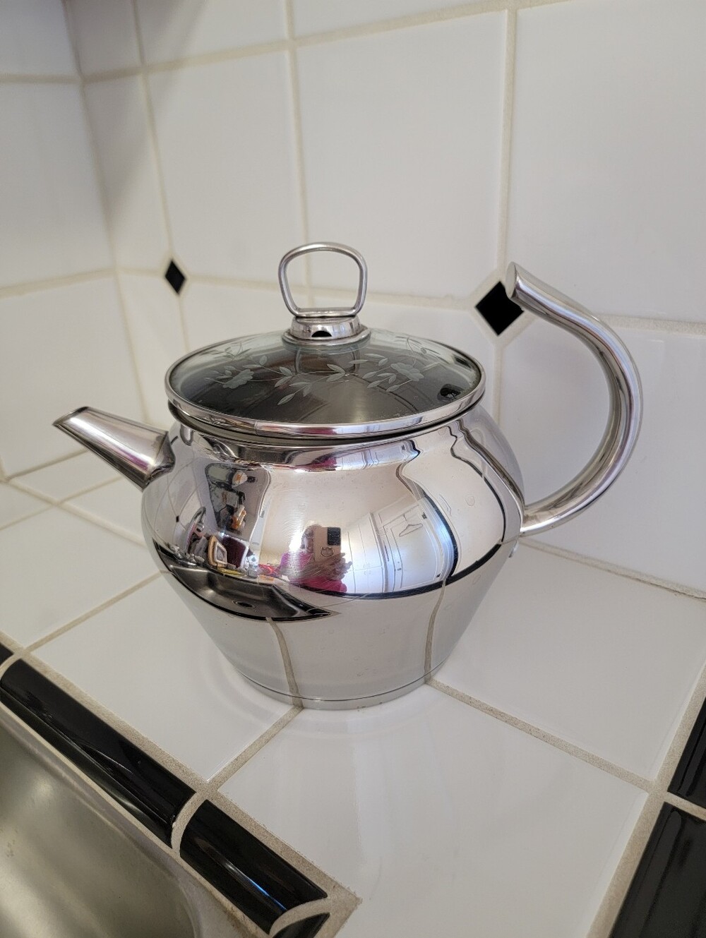 Princess House 2 Quarts Stainless Steel Silver Teapot with Glass Lid